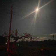 🕶🐺さんのアイコン画像