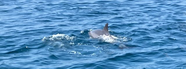 ニコ乙プロダクション　フォロバ💯さんの壁紙画像