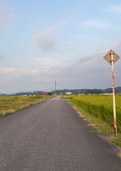 なんか