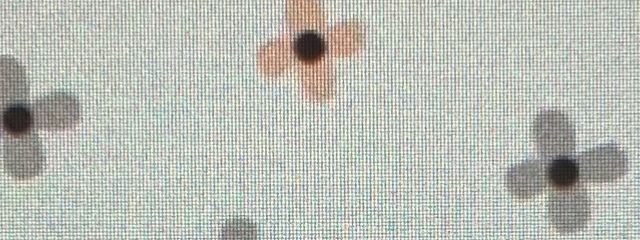 望愛さんの壁紙画像