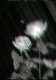 狂おしいほど貴女を愛したい