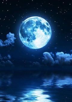 イラスト部屋！雑談！