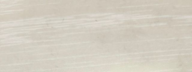 のこぎりきのこさんの壁紙画像