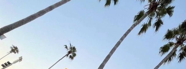 りぃ🦍🐢さんの壁紙画像