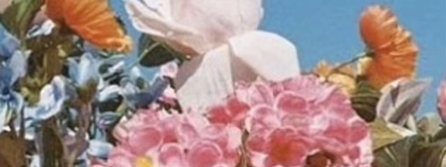 ymkwさんの壁紙画像