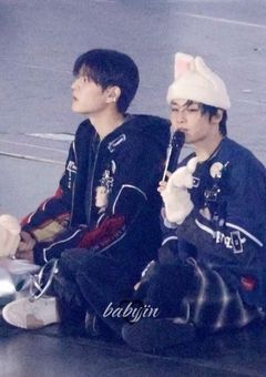 マンネズが小さくなりました