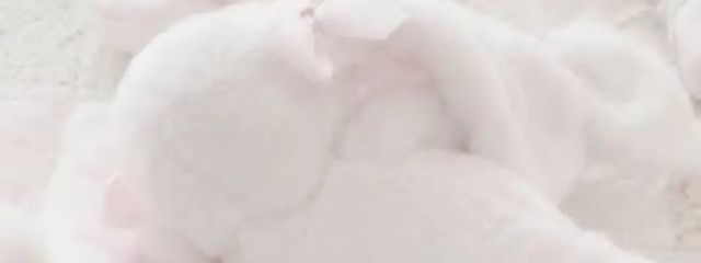 # は ぅ あ . 🍼さんの壁紙画像