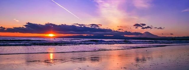 新鮮な草さんの壁紙画像