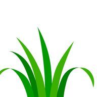 新鮮な草さんのアイコン画像