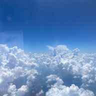 ねこねこさんのアイコン画像