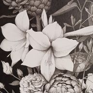  seNaさんのアイコン画像