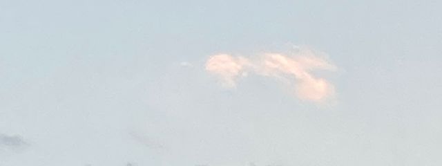 零さんの壁紙画像