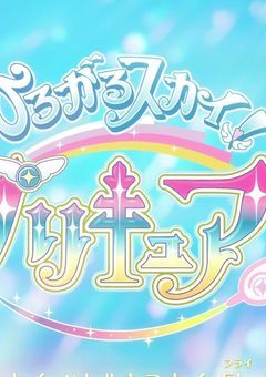 映画 ひろがるスカイ！プリキュア　救え皆の街