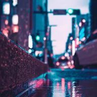 Niina.（  架仔  ）さんのアイコン画像