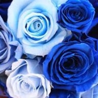 仁さんのアイコン画像