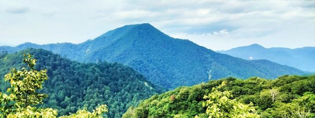 こおり🧊さんの壁紙画像