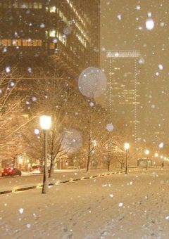 路上ライブのちいさいお客さん