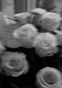 元裏社会の人間がBGになりました