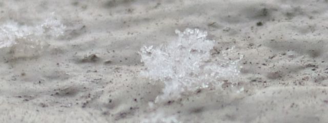 赤﨑　みこ🎶🌸🩵　@フォロセさんの壁紙画像