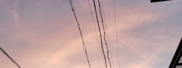 あるさんの壁紙画像