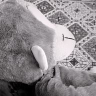 ぴかぴかぴっぴさんのアイコン画像