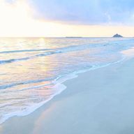 ココッナッツさんのアイコン画像