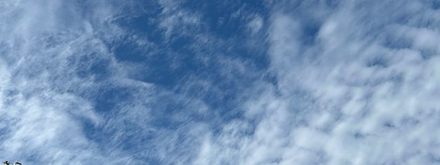 音色さんの壁紙画像