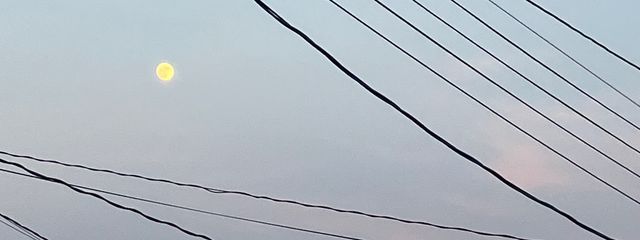 きなこもちさんの壁紙画像