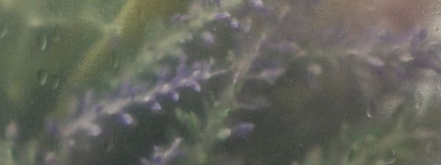 由愛💀さんの壁紙画像