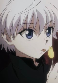 ゾルディック家の溺愛お嬢