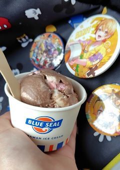 実写部屋