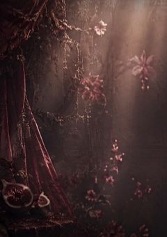 .゚・*. 𝑹𝒆𝒑𝒐𝒓𝒕.*・゚