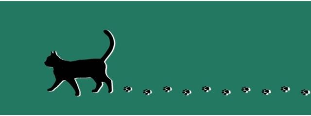凛道　緑さんの壁紙画像