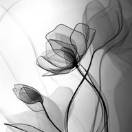 ℝ𝕀ℕℝ𝕀ℕ❄️✮*｡ﾟさんのアイコン画像