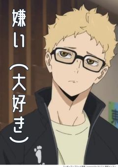 私達、両思い(嫌い同士)なんで。