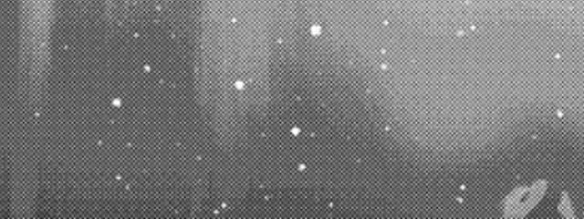 ✦さんの壁紙画像