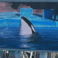 長京さんのアイコン画像