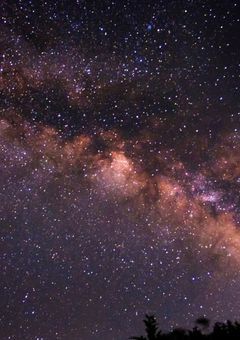 世界最強、いじられキャラです