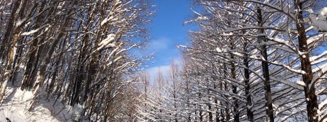 三月さんの壁紙画像