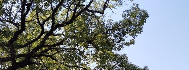 結城さんの壁紙画像