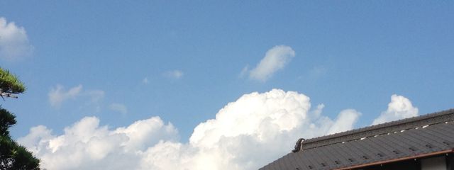 小宮亰さんの壁紙画像