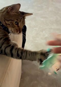雑談