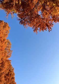 SnowMan 短編集 🔞