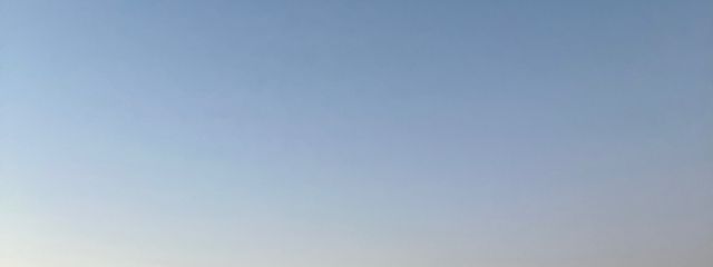 ひな丸さんの壁紙画像