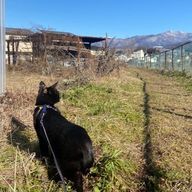 ゆいかさんのアイコン画像