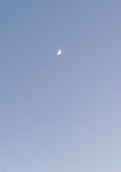 星になっても✧*゜