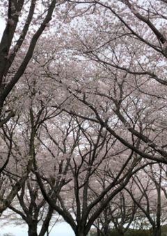 参加型の説明書くところー