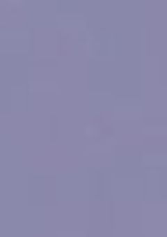 # . 偶 像 と 造 花 