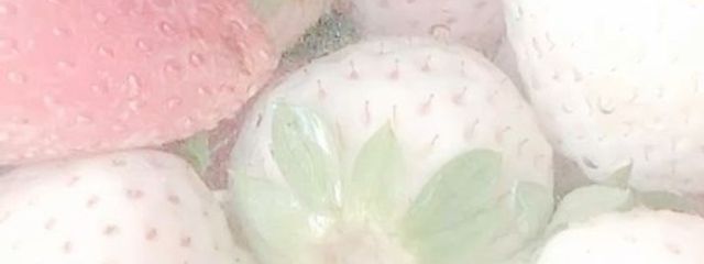 ⠀ さんの壁紙画像