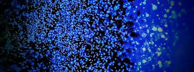 離娘さんの壁紙画像